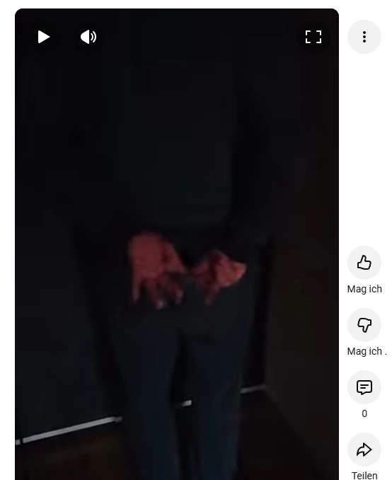 Der Hilfeschrei Aktenzeichen: F-0528-25