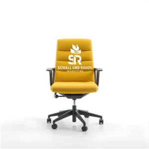 Ergono-Meme Chair